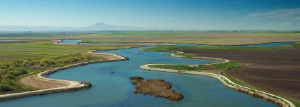 dwr_report0309_levee1